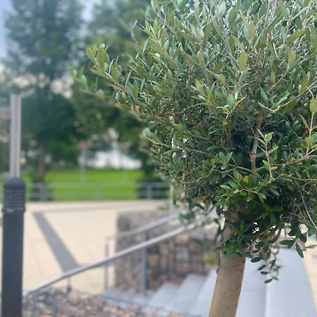 Altes Gutshaus 酒店 克林克