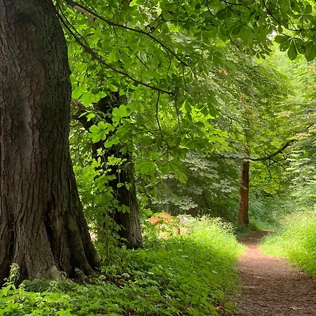 Altes Gutshaus 克林克