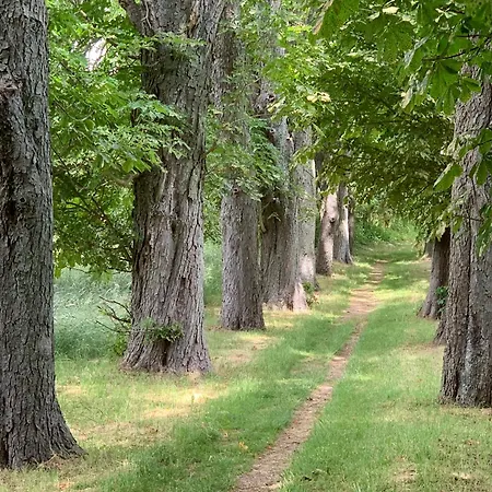 酒店 Altes Gutshaus