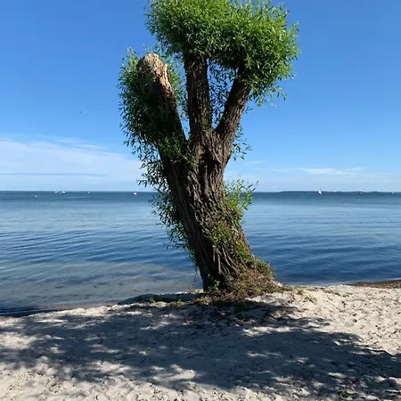 Altes Gutshaus 克林克